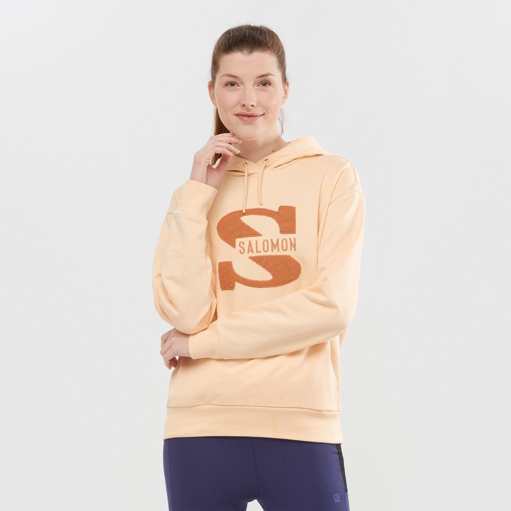 Pullover Salomon Mujer Beige - Salomon Argentina OUTLIFE LOGO SUMMER,893426-RJF